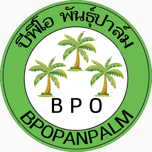 บีพีโอ พันธุ์ปาล์ม